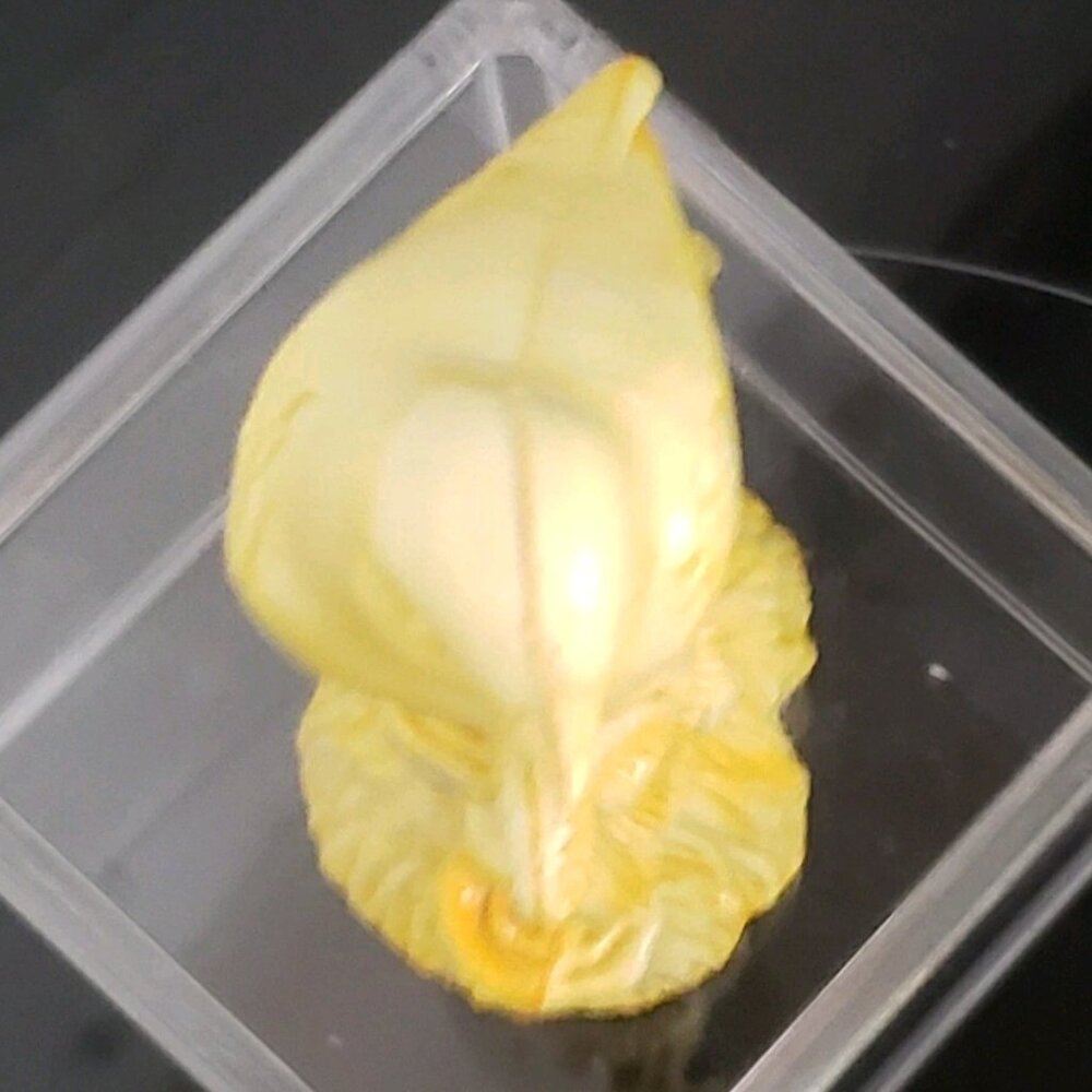 Vintage Bird Figurine Plastic Canary Yellow Detailed Perched Tree Branch Log - Picture 9 of 11